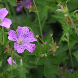 irland rundreise 2025_48